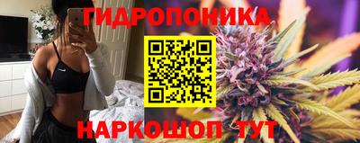 гидропоника Пугачёв