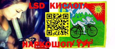 гидропоника Пугачёв