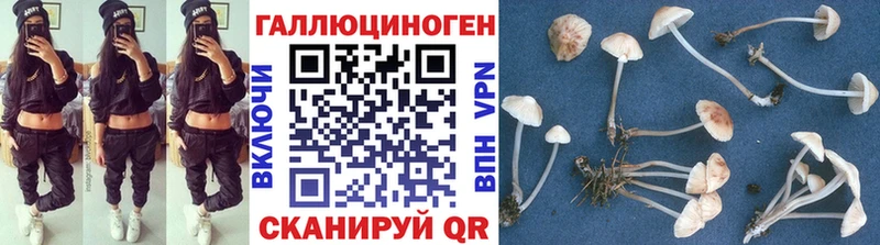 магазин    kraken ССЫЛКА  Галлюциногенные грибы ЛСД  Чистополь 