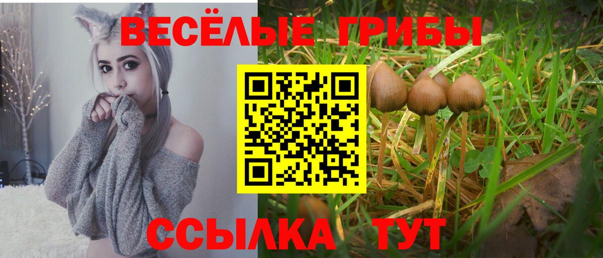 Чистополь  Галлюциногенные грибы MAGIC MUSHROOMS  Галлюциногенные грибы ЛСД  Вход с VPN 